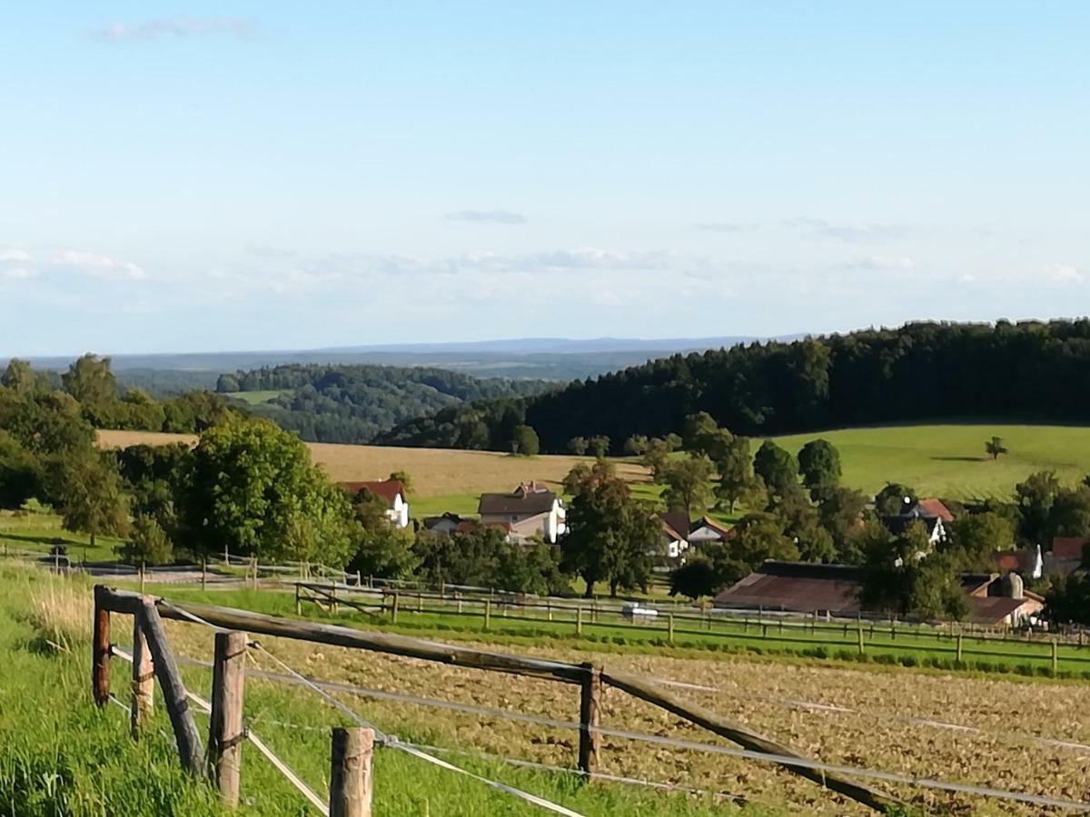 Fewo Darsberg Neckarsteinach Exterior photo